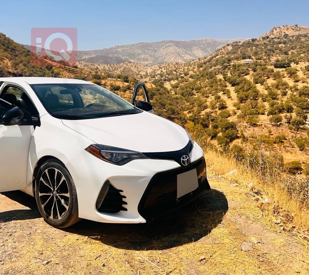 تويوتا كورولا